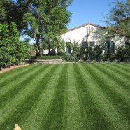 Artificial Lawn Cost