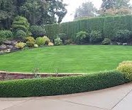 Landscaping Melbourne – How to Choose the Right Service