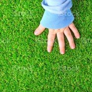 Finding Professional to Install the Synthetic Grass
