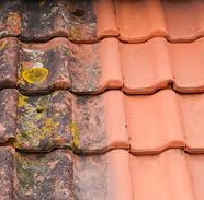 Benefits of Roof Restoration in Frankston