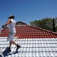 Experts at Melbourne Roofcare and Gutters