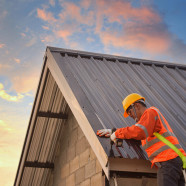 Roofing Restoration – Why You Should Hire a Professional