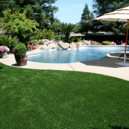 Installing Synthetic Turf Grass At Affordable Prices