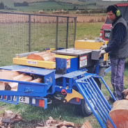 Log Splitter Hire Cost
